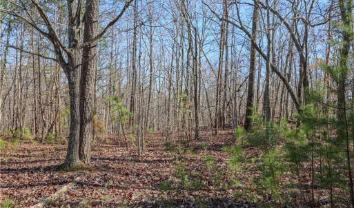 Photo #7 of 6355 Scott McDowell, Asheboro, NC 10.1 acres