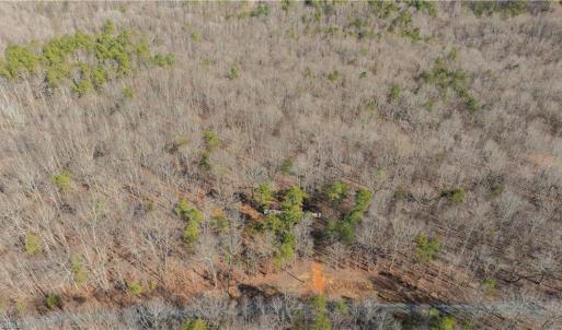 Photo #8 of 6355 Scott McDowell, Asheboro, NC 10.1 acres