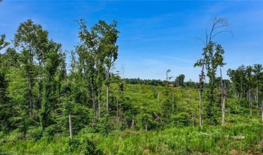 Photo #2 of Roberson, Reidsville, NC 6.0 acres
