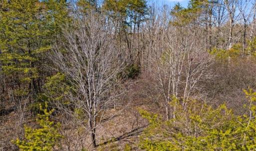 Photo #12 of 7350 Hidden View, Oak Ridge, NC 6.8 acres