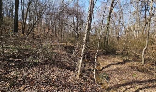 Photo #6 of 2440 Meadowpark, Winston-Salem, NC 1.6 acres