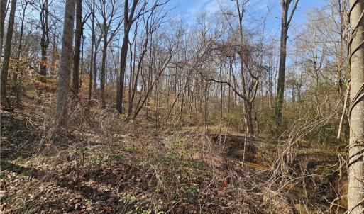 Photo #3 of 2440 Meadowpark, Winston-Salem, NC 1.6 acres