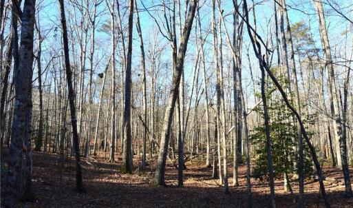 Photo #6 of Hanging Rock Park, Danbury, NC 232.0 acres
