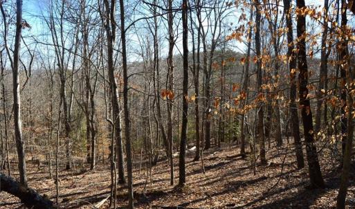 Photo #13 of Hanging Rock Park, Danbury, NC 232.0 acres
