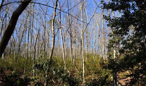 Photo #17 of Hanging Rock Park, Danbury, NC 232.0 acres
