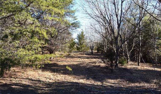 Photo #12 of Hanging Rock Park, Danbury, NC 232.0 acres