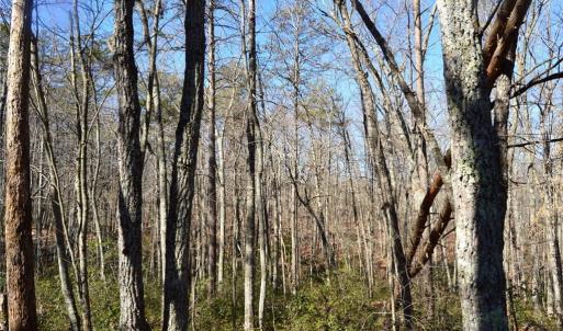 Photo #26 of Hanging Rock Park, Danbury, NC 232.0 acres