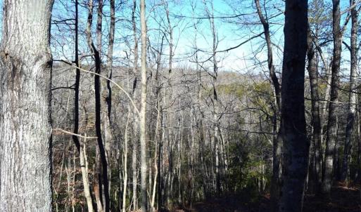 Photo #22 of Hanging Rock Park, Danbury, NC 232.0 acres