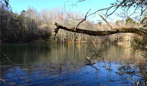 Photo #3 of Hanging Rock Park, Danbury, NC 232.0 acres