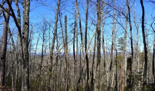 Photo #32 of Hanging Rock Park, Danbury, NC 232.0 acres
