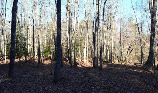 Photo #5 of Hanging Rock Park, Danbury, NC 232.0 acres