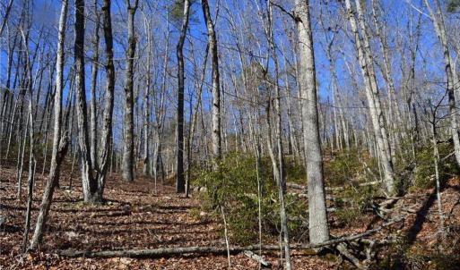 Photo #20 of Hanging Rock Park, Danbury, NC 232.0 acres