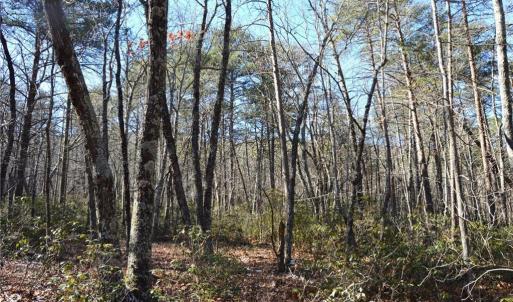 Photo #24 of Hanging Rock Park, Danbury, NC 232.0 acres