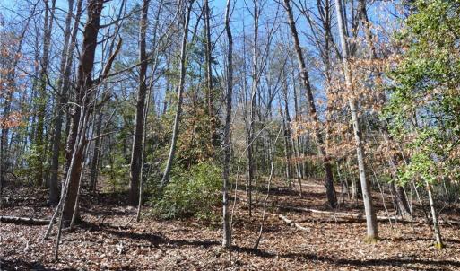 Photo #30 of Hanging Rock Park, Danbury, NC 232.0 acres