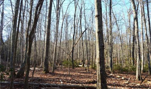 Photo #10 of Hanging Rock Park, Danbury, NC 232.0 acres