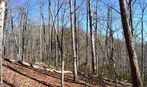 Photo #14 of Hanging Rock Park, Danbury, NC 232.0 acres