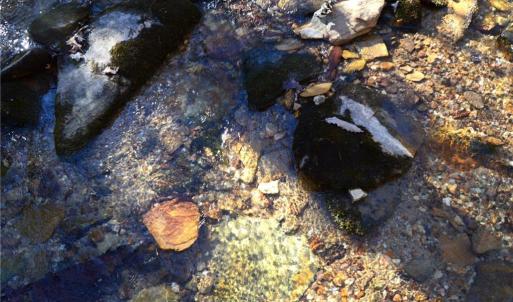 Photo #18 of Hanging Rock Park, Danbury, NC 232.0 acres