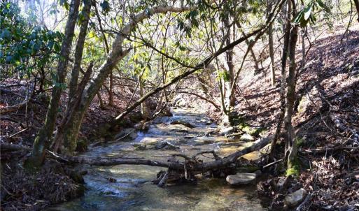 Photo #15 of Hanging Rock Park, Danbury, NC 232.0 acres