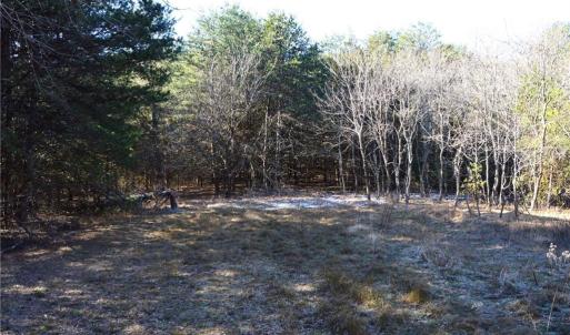 Photo #11 of Hanging Rock Park, Danbury, NC 232.0 acres
