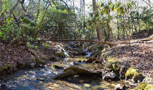 Photo #19 of Hanging Rock Park, Danbury, NC 232.0 acres