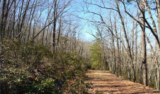 Photo #31 of Hanging Rock Park, Danbury, NC 232.0 acres
