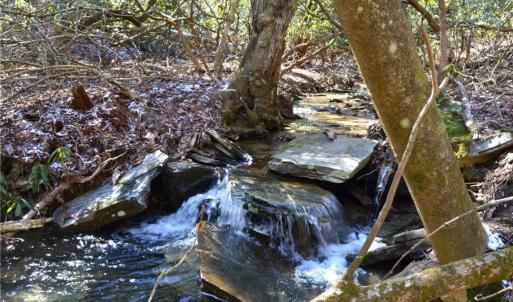 Photo #29 of Hanging Rock Park, Danbury, NC 232.0 acres