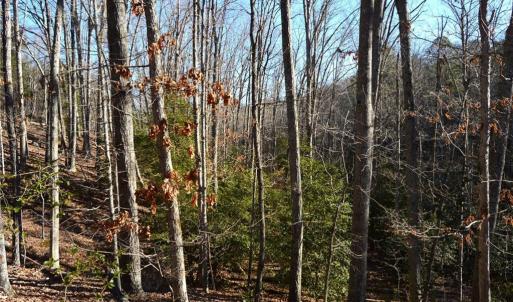 Photo #4 of Hanging Rock Park, Danbury, NC 232.0 acres