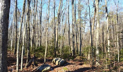 Photo #8 of Hanging Rock Park, Danbury, NC 232.0 acres