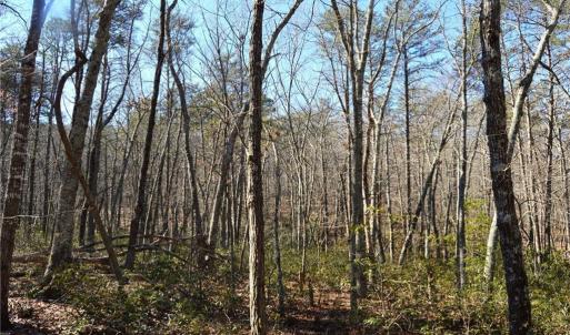 Photo #25 of Hanging Rock Park, Danbury, NC 232.0 acres