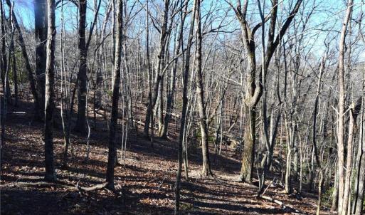 Photo #21 of Hanging Rock Park, Danbury, NC 232.0 acres