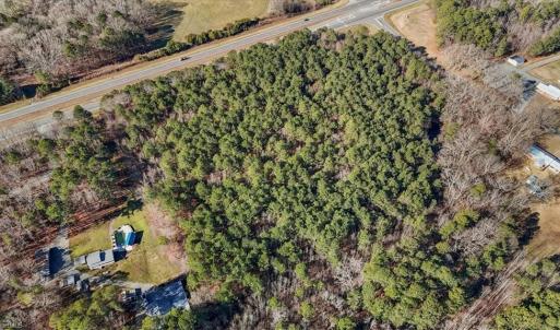 Photo #5 of US *421*, Bear Creek, NC 12.7 acres