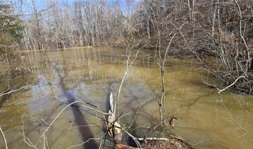 Photo #6 of 23.85ac Henderson, Pelham, NC 23.9 acres