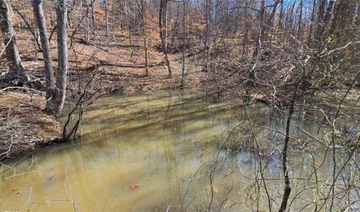 Photo #7 of 23.85ac Henderson, Pelham, NC 23.9 acres