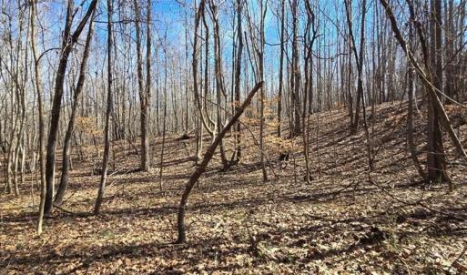 Photo #14 of 23.85ac Henderson, Pelham, NC 23.9 acres