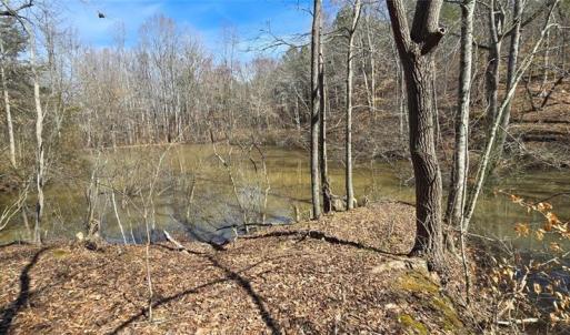 Photo #8 of 23.85ac Henderson, Pelham, NC 23.9 acres