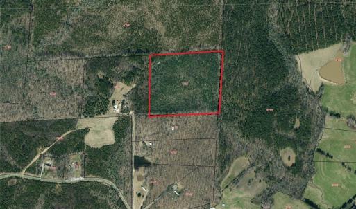Photo #2 of Abner, Troy, NC 16.8 acres
