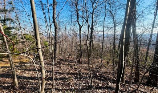 Photo #23 of TBD Reflection Point, Fancy Gap, VA 5.2 acres