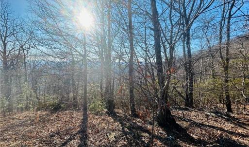 Photo #2 of TBD Reflection Point, Fancy Gap, VA 5.2 acres