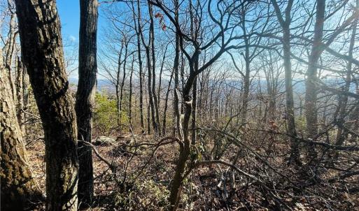 Photo #13 of TBD Reflection Point, Fancy Gap, VA 5.2 acres