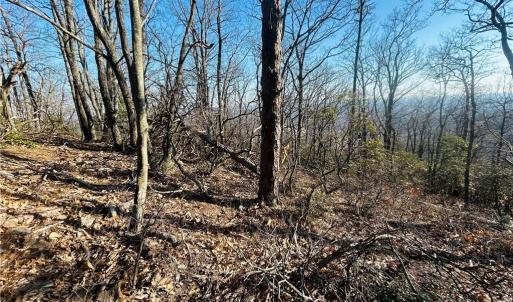 Photo #17 of TBD Reflection Point, Fancy Gap, VA 5.2 acres