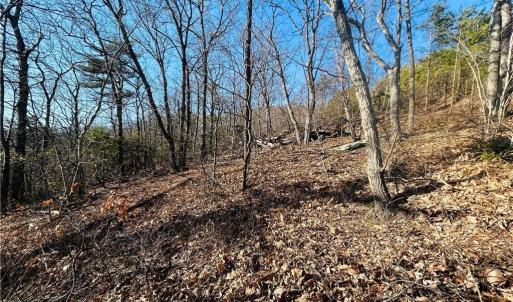 Photo #16 of TBD Reflection Point, Fancy Gap, VA 5.2 acres