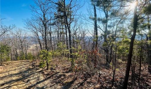Photo #26 of TBD Reflection Point, Fancy Gap, VA 5.2 acres