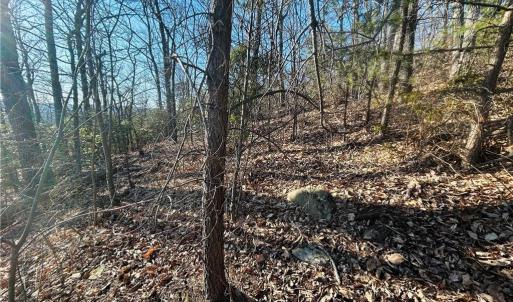Photo #22 of TBD Reflection Point, Fancy Gap, VA 5.2 acres