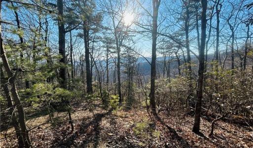 Photo #7 of TBD Reflection Point, Fancy Gap, VA 5.2 acres