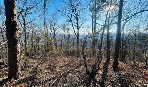 Photo #1 of TBD Reflection Point, Fancy Gap, VA 5.2 acres