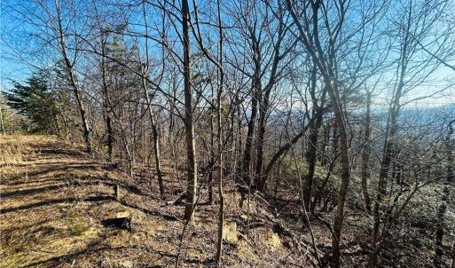 Photo #9 of TBD Reflection Point, Fancy Gap, VA 5.2 acres