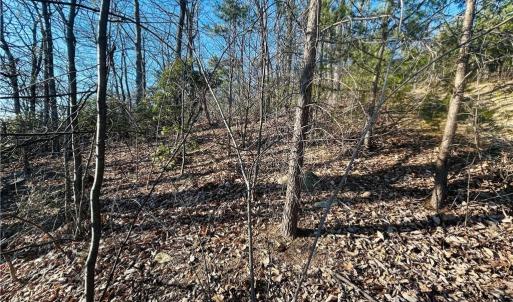 Photo #24 of TBD Reflection Point, Fancy Gap, VA 5.2 acres
