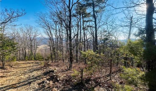 Photo #10 of TBD Reflection Point, Fancy Gap, VA 5.2 acres