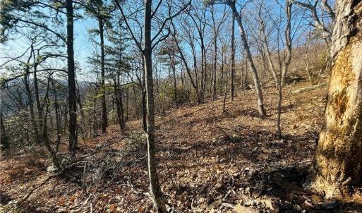 Photo #14 of TBD Reflection Point, Fancy Gap, VA 5.2 acres