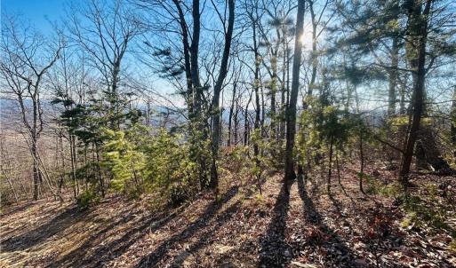 Photo #18 of TBD Reflection Point, Fancy Gap, VA 5.2 acres